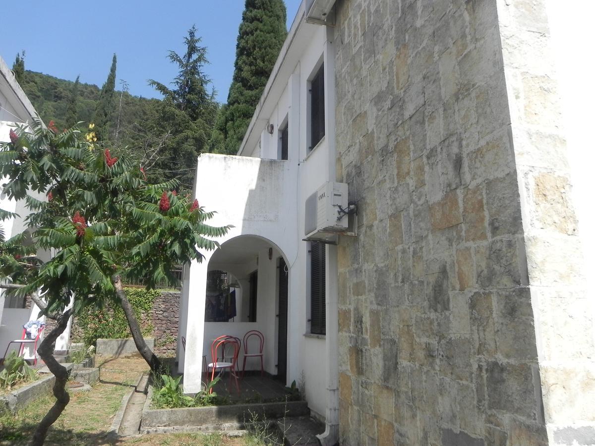 Holiday Park Vile Park Budva Buitenkant foto
